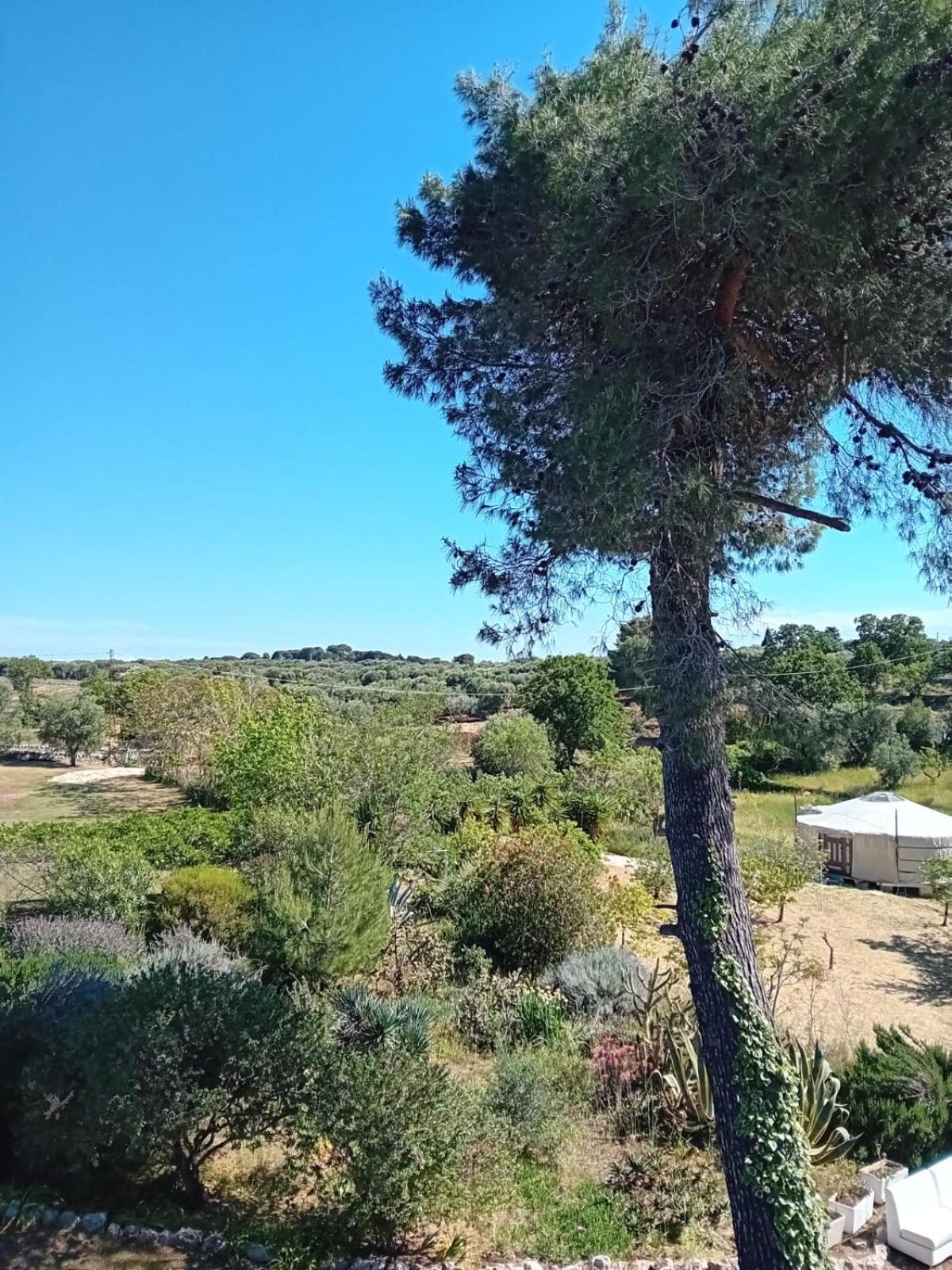 Torre Marinella Pensionat Ostuni Eksteriør billede