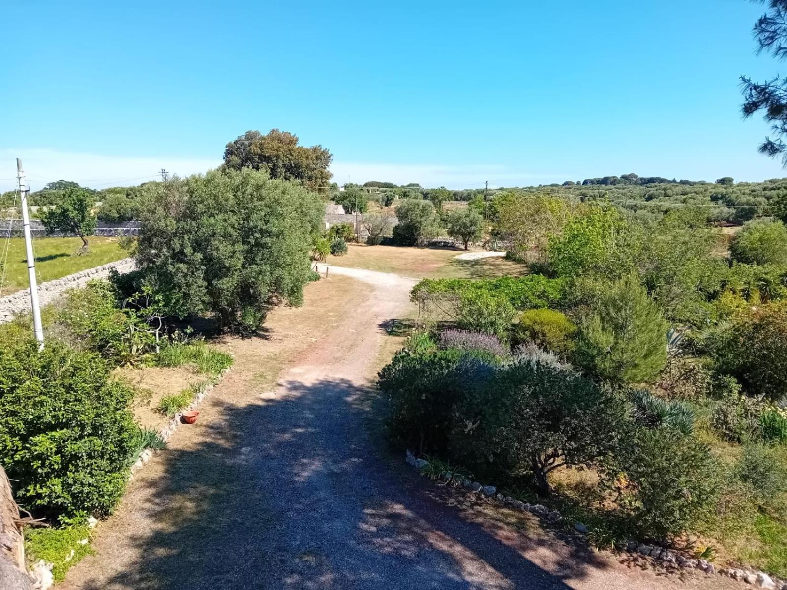 Torre Marinella Pensionat Ostuni Eksteriør billede