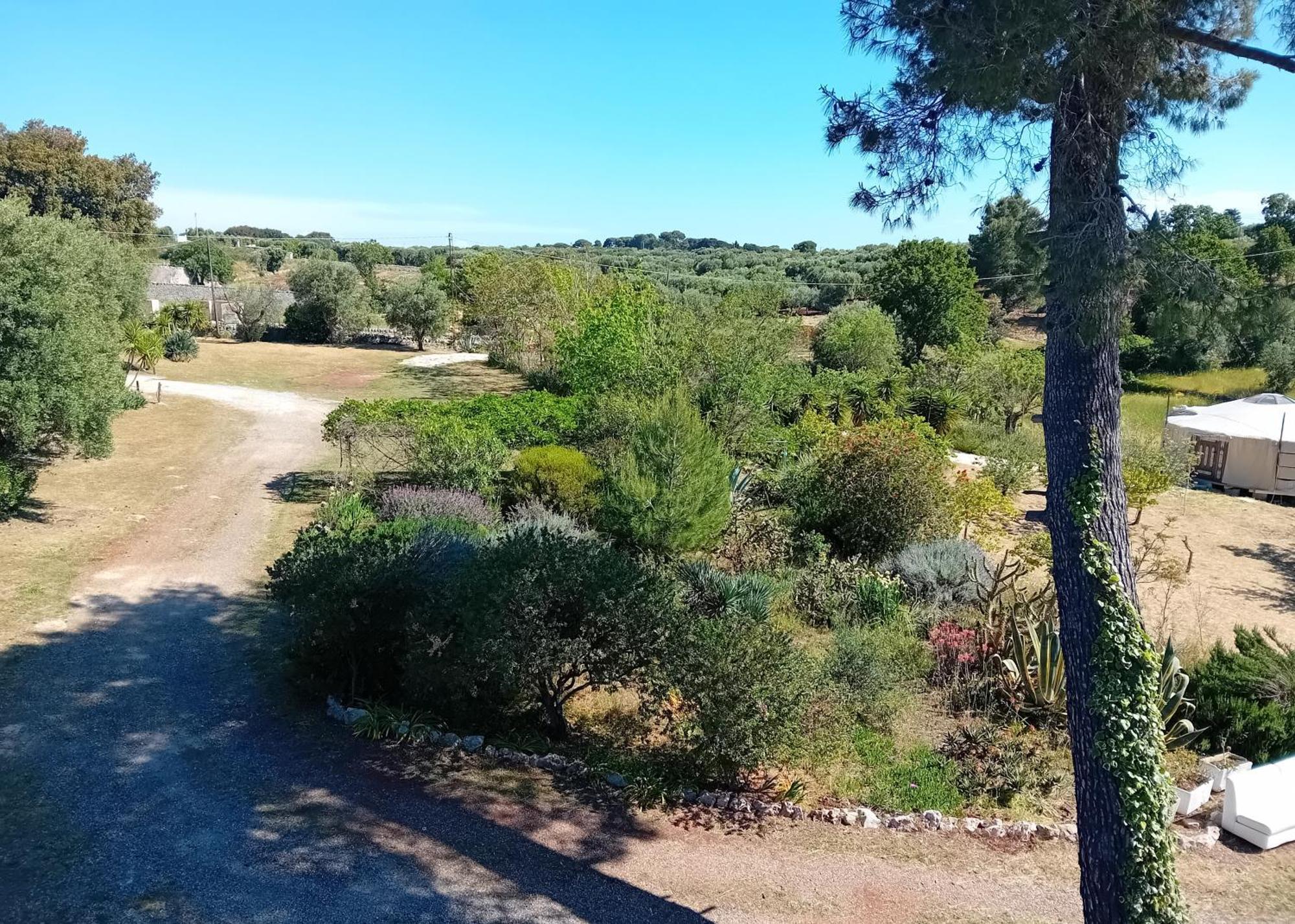 Torre Marinella Pensionat Ostuni Eksteriør billede