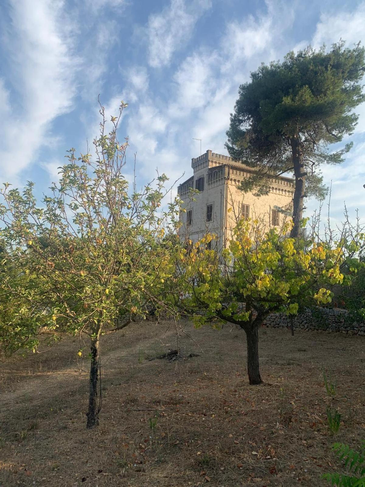 Torre Marinella Pensionat Ostuni Eksteriør billede