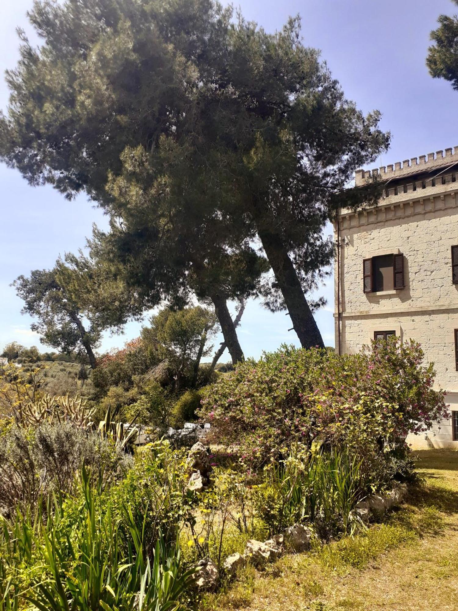 Torre Marinella Pensionat Ostuni Eksteriør billede