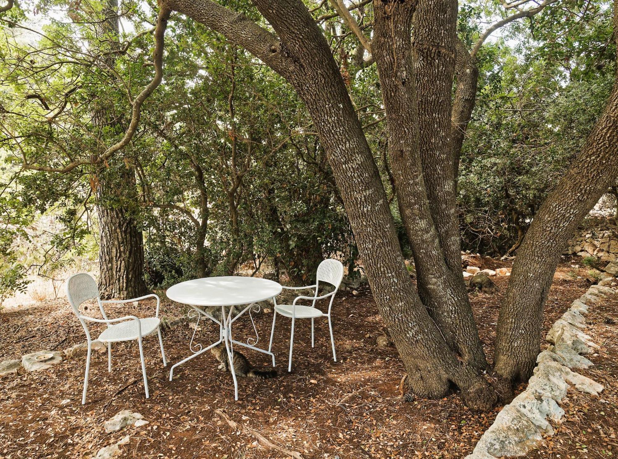 Torre Marinella Pensionat Ostuni Eksteriør billede